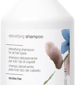 Simply Zen Detoxifying Shampoo 250 ml
