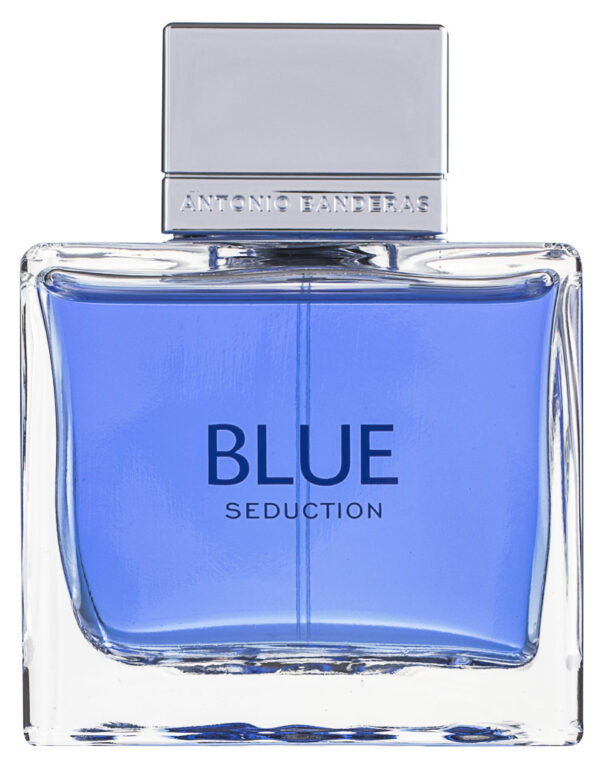 Antonio Banderas Blue Seduction for Men Eau de Toilette 100 ml