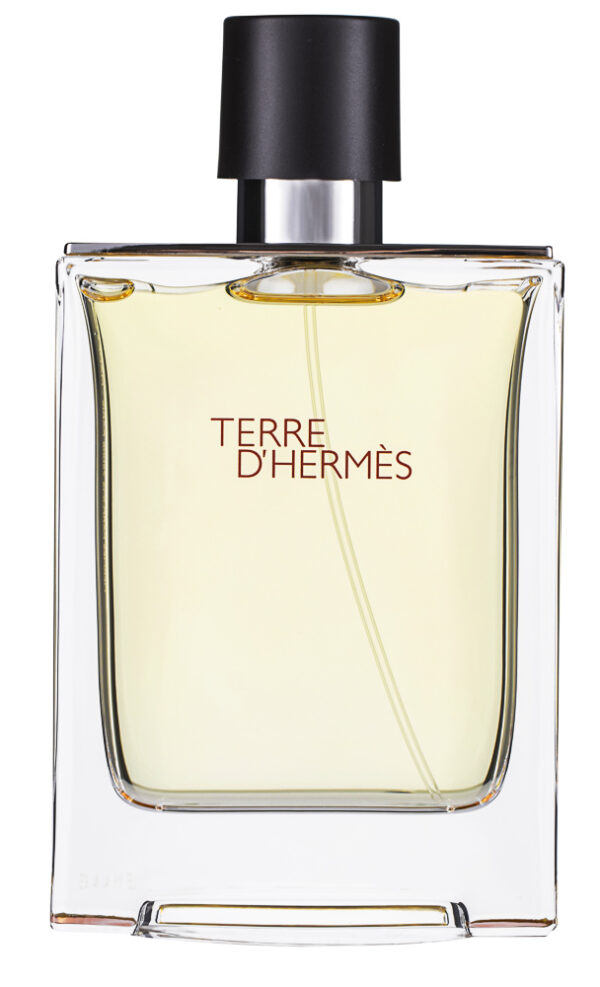 Hermès Terre d`Hermès Pour Homme Eau de Toilette 100 ml