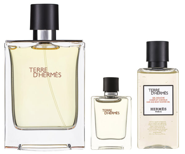 Hermès Terre d`Hermès Pour Homme EDT Geschenkset EDT 100 ml + EDT 5 ml + 40 ml Duschgel