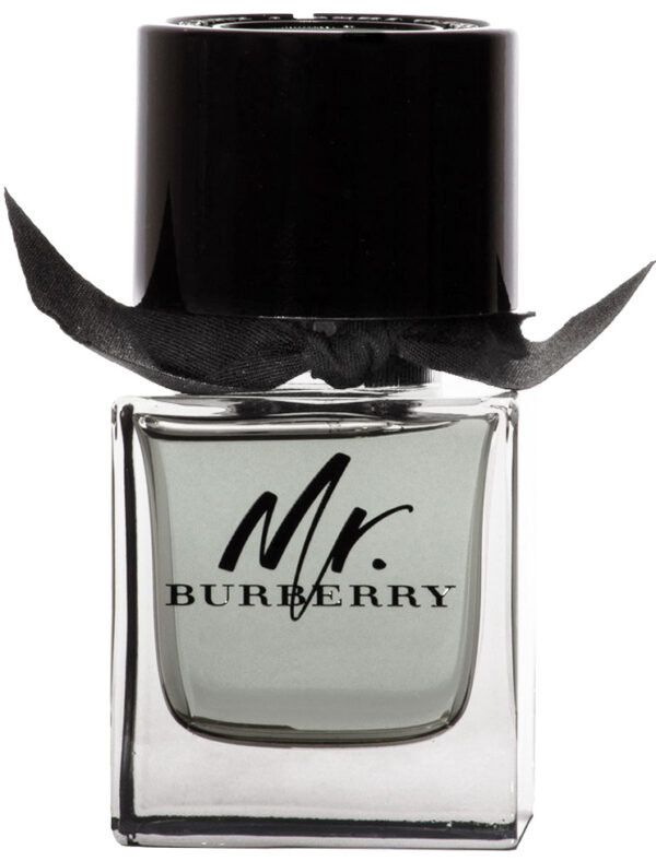 Burberry Mr. Burberry Eau de Toilette 50 ml