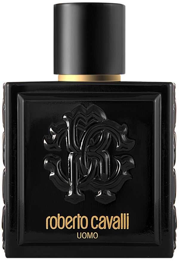 Roberto Cavalli Roberto Cavalli Uomo Eau de Toilette 100 ml