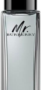 Burberry Mr. Burberry Eau de Toilette (EdT) Natural Spray 30ml