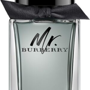 Burberry Mr. Burberry Eau de Toilette (EdT) Natural Spray 100ml