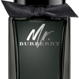 Burberry Mr. Burberry Eau de Parfum (EdP) Natural Spray 100ml