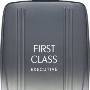 Aigner First Class Executive Eau de Toilette (EdT) 100 ml