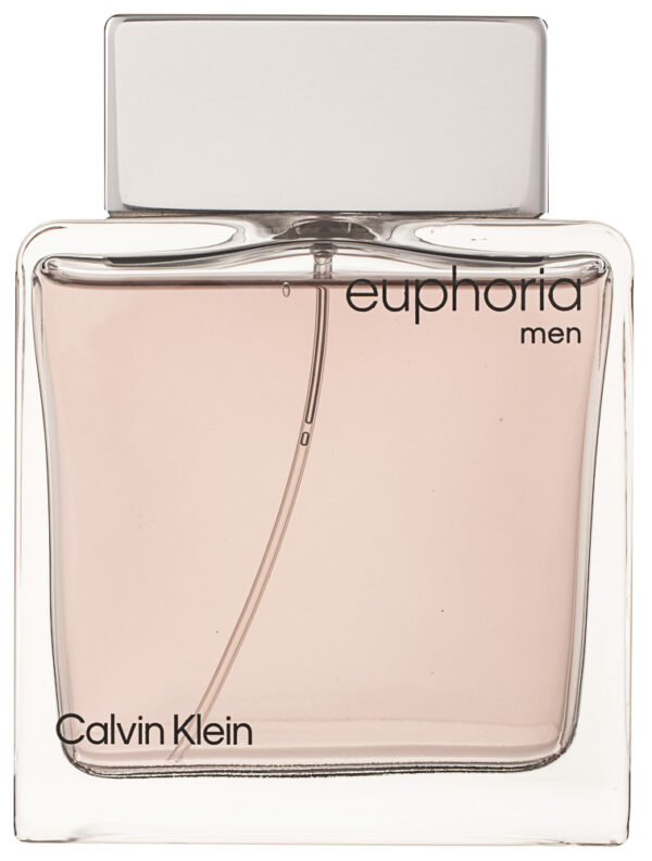 Calvin Klein Euphoria Men Eau de Toilette 100 ml