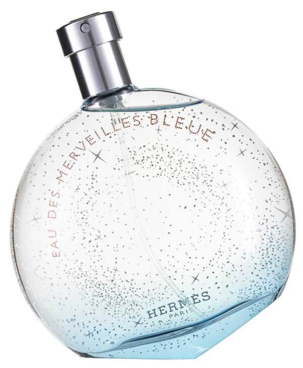 Hermès Eau des Merveilles Bleue Eau de Toilette 100 ml