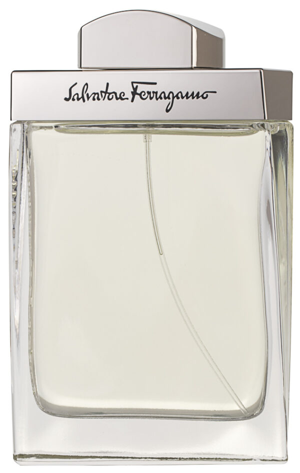 Salvatore Ferragamo Pour Homme Eau de Toilette 100 ml